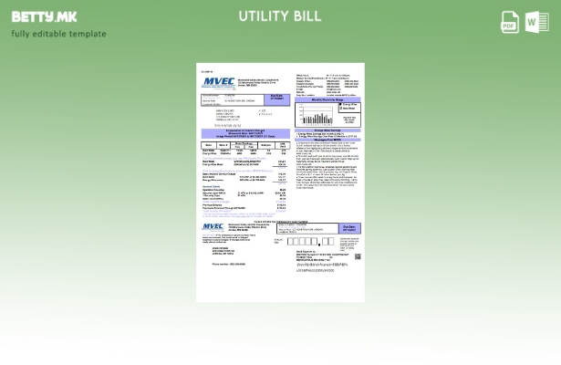 Модерен стил шаблон за комунални сметки за електрична енергија на долината на СА